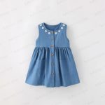 上一个商品图像