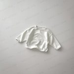 上一个商品图像