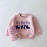 上一个商品图像