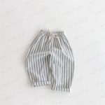 上一个商品图像