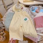 上一个商品图像